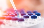 MS Research