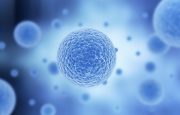 HSCT Treatment for MS