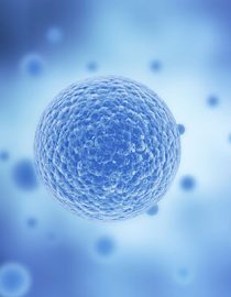HSCT Treatment for MS HSCT Treatment for MS