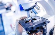 MS Clinical Trials