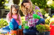 Spring Activities for MS
